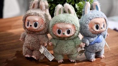 the-labubu-phenomenon:-how-a-mischievous-elf-conquered-pop-culture